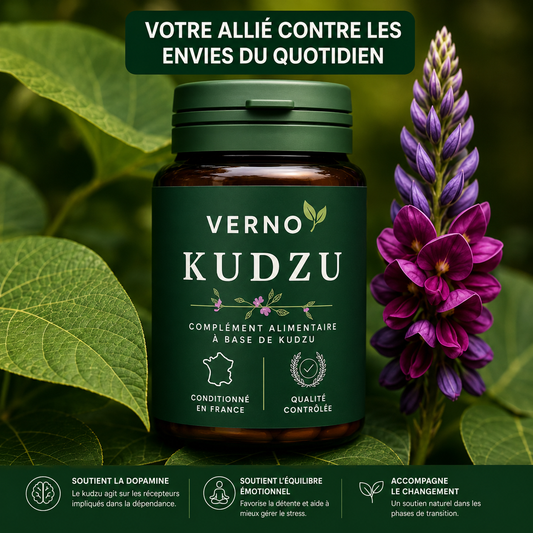 Kudzu Verno 40 mg d’isoflavone - 100% naturel