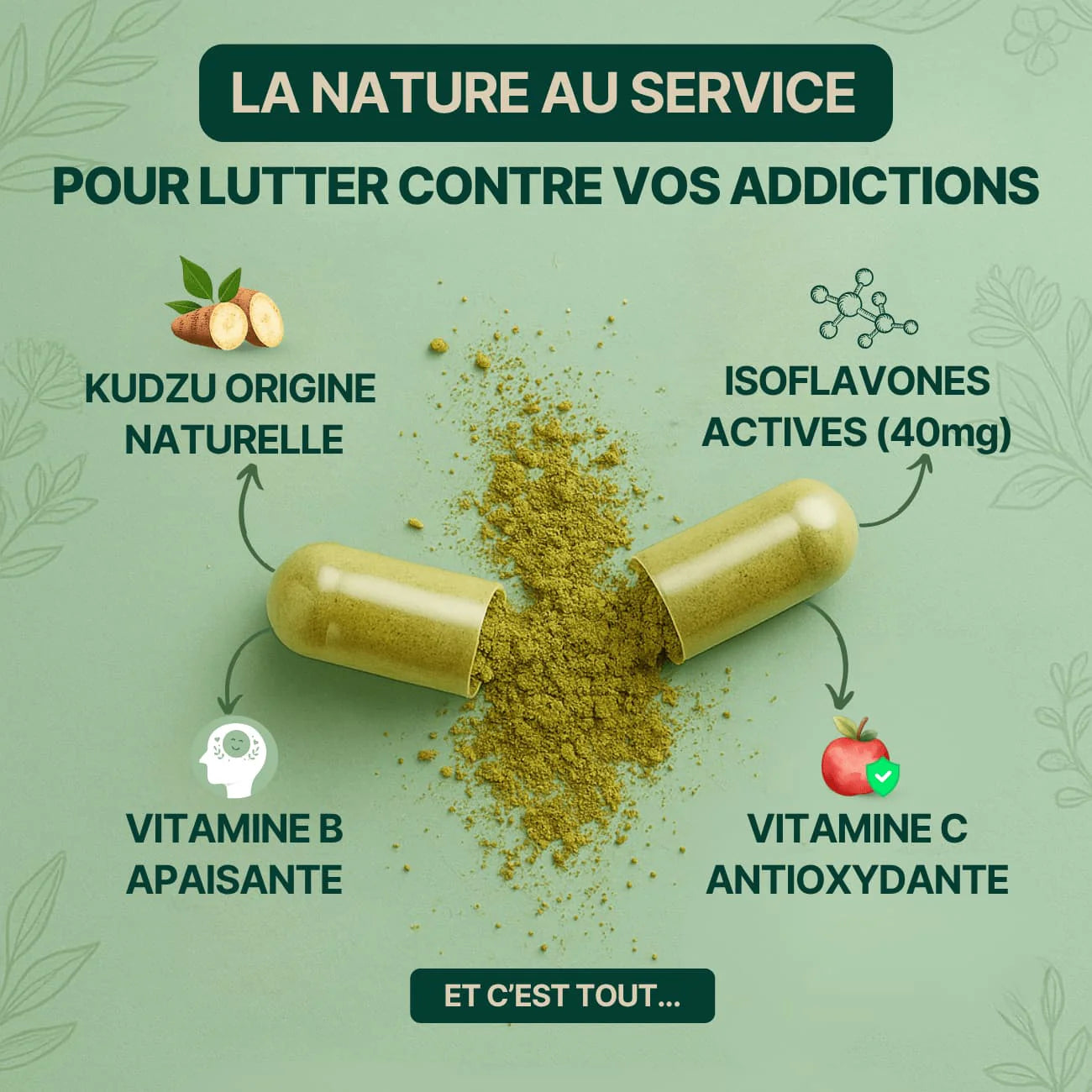 Kudzu Verno 40 mg d’isoflavone - 100% naturel